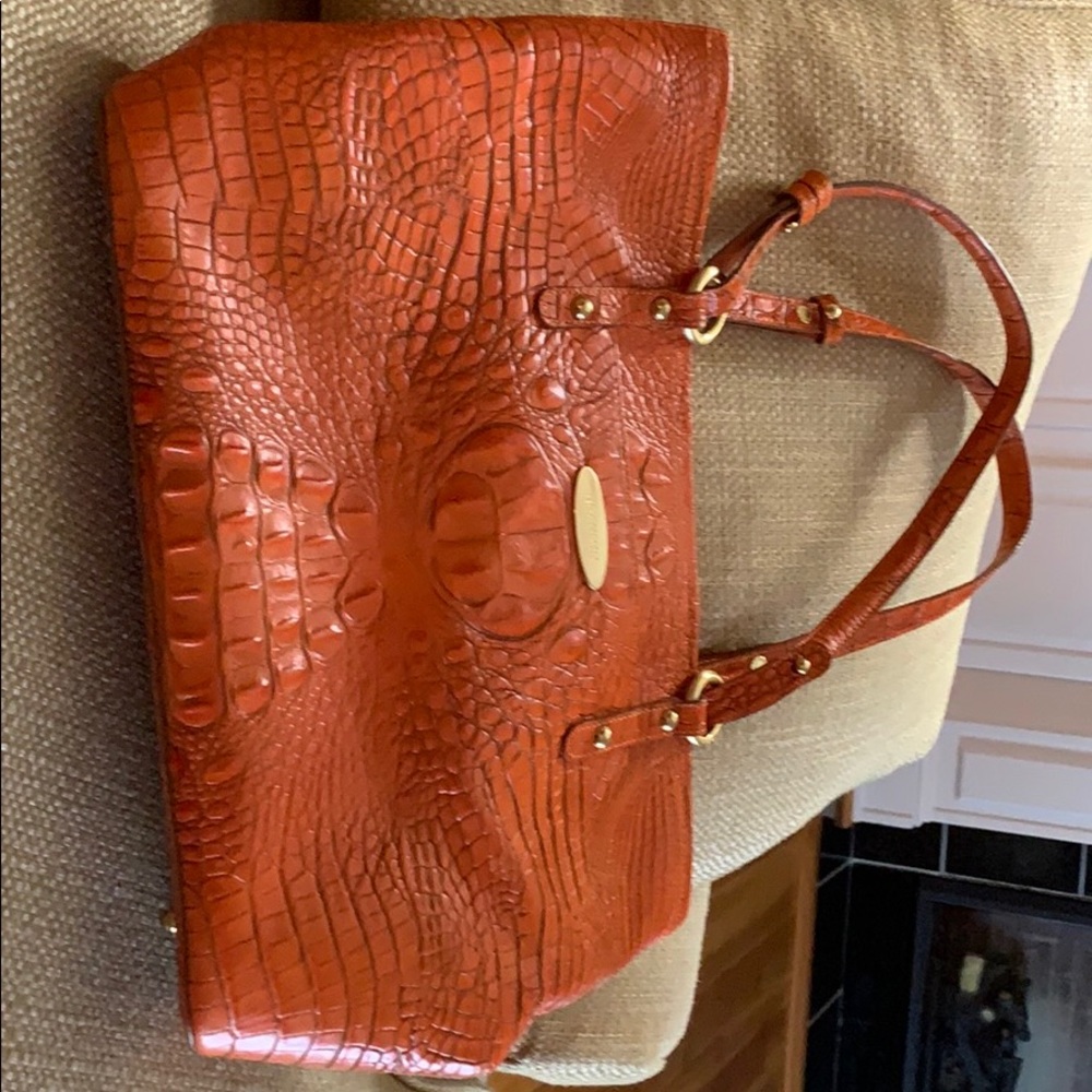 Beautiful Brahmin Purse